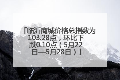 临沂商城价格总指数为103.28点，环比下跌0.10点（5月22日—5月28日）