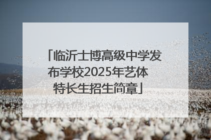 临沂士博高级中学发布学校2025年艺体特长生招生简章
