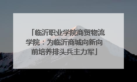 临沂职业学院商贸物流学院：为临沂商城向新向前培养排头兵主力军