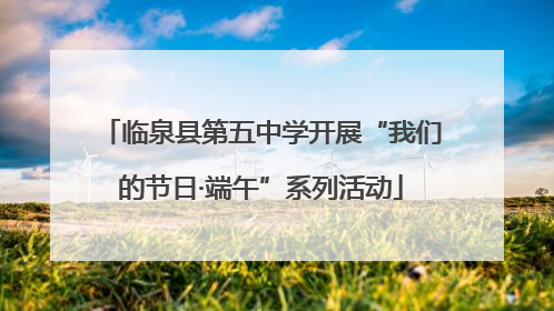 临泉县第五中学开展“我们的节日·端午”系列活动
