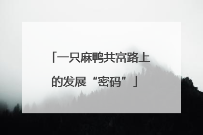 一只麻鸭共富路上的发展“密码”