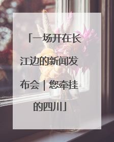 一场开在长江边的新闻发布会｜您牵挂的四川