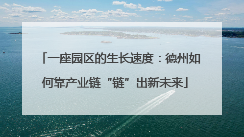 一座园区的生长速度：德州如何靠产业链“链”出新未来