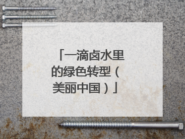 一滴卤水里的绿色转型（美丽中国）