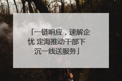 一链响应，速解企忧 定海推动干部下沉一线送服务
