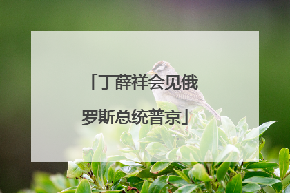 丁薛祥会见俄罗斯总统普京