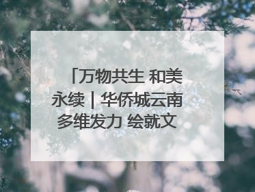 万物共生 和美永续｜华侨城云南多维发力 绘就文旅融合与生物多样性保护新图景