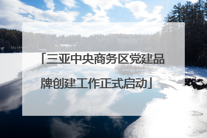 三亚中央商务区党建品牌创建工作正式启动