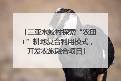 三亚水蛟村探索“农田+”耕地复合利用模式，开发农旅融合项目