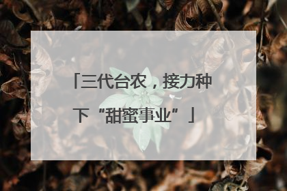 三代台农，接力种下“甜蜜事业”