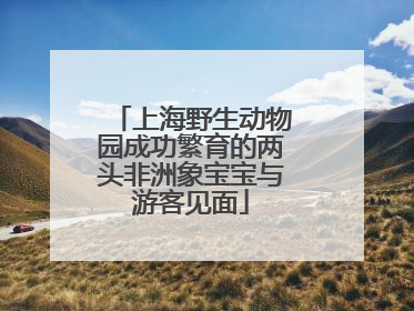 上海野生动物园成功繁育的两头非洲象宝宝与游客见面