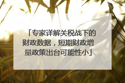 专家详解关税战下的财政数据，短期财政增量政策出台可能性小