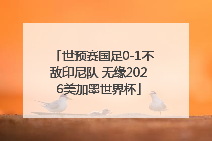世预赛国足0-1不敌印尼队 无缘2026美加墨世界杯