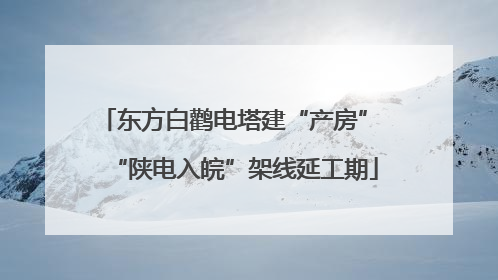 东方白鹳电塔建“产房” “陕电入皖”架线延工期