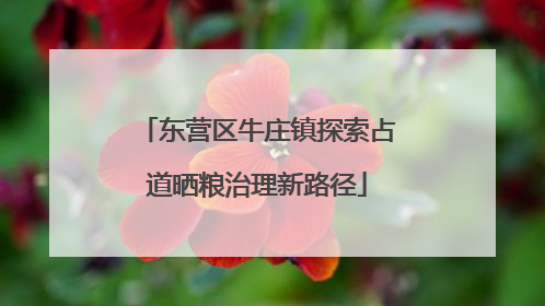 东营区牛庄镇探索占道晒粮治理新路径