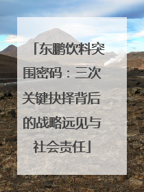 东鹏饮料突围密码：三次关键抉择背后的战略远见与社会责任