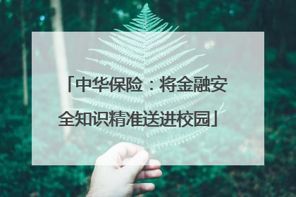 中华保险：将金融安全知识精准送进校园