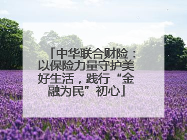 中华联合财险：以保险力量守护美好生活，践行“金融为民”初心