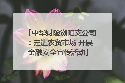 中华财险浏阳支公司：走进农贸市场 开展金融安全宣传活动
