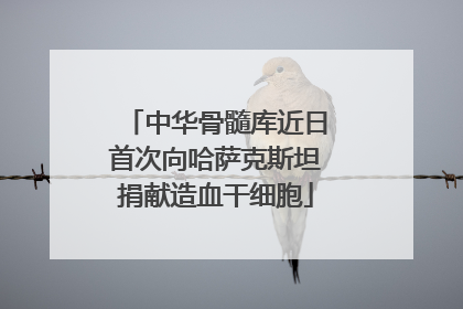 中华骨髓库近日首次向哈萨克斯坦捐献造血干细胞