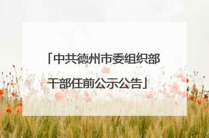 中共德州市委组织部干部任前公示公告