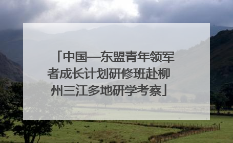 中国—东盟青年领军者成长计划研修班赴柳州三江多地研学考察