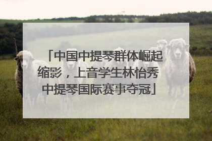 中国中提琴群体崛起缩影，上音学生林怡秀中提琴国际赛事夺冠
