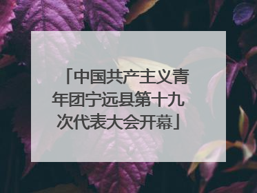 中国共产主义青年团宁远县第十九次代表大会开幕