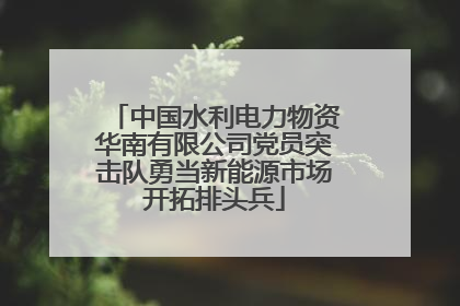 中国水利电力物资华南有限公司党员突击队勇当新能源市场开拓排头兵