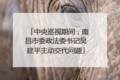 中央巡视期间，南昌市委政法委书记吴建平主动交代问题