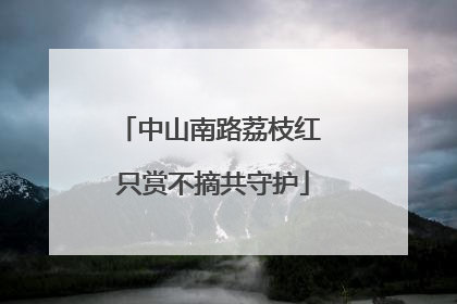 中山南路荔枝红 只赏不摘共守护