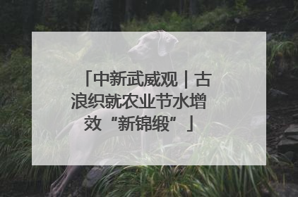 中新武威观｜古浪织就农业节水增效“新锦缎”