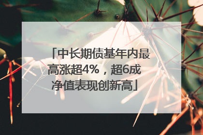 中长期债基年内最高涨超4%，超6成净值表现创新高