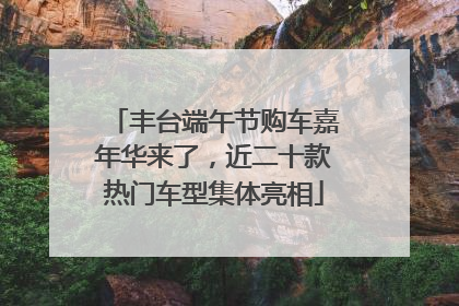 丰台端午节购车嘉年华来了，近二十款热门车型集体亮相