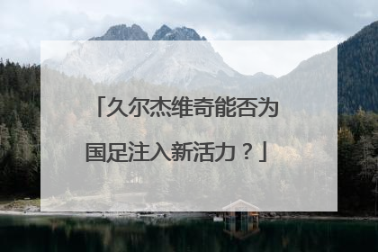 久尔杰维奇能否为国足注入新活力？