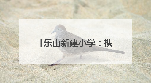 乐山新建小学：携手护苗，共筑成长