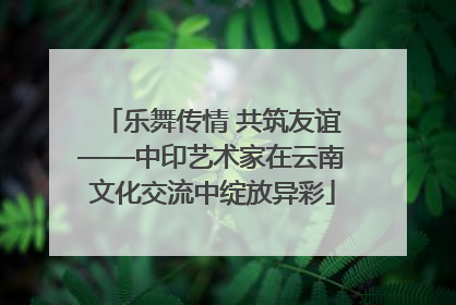 乐舞传情 共筑友谊——中印艺术家在云南文化交流中绽放异彩