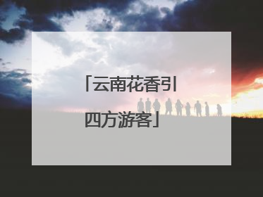 云南花香引四方游客