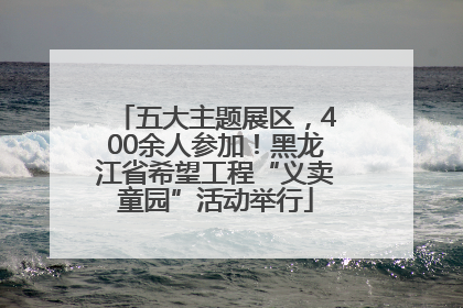五大主题展区，400余人参加！黑龙江省希望工程“义卖童园”活动举行