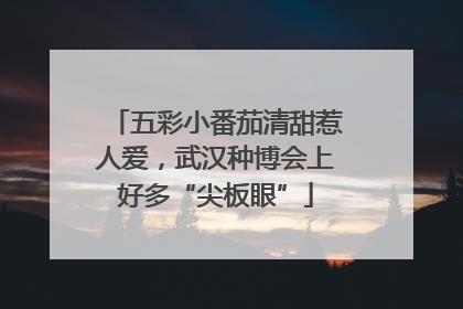 五彩小番茄清甜惹人爱，武汉种博会上好多“尖板眼”