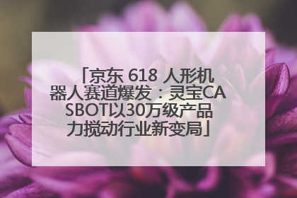 京东 618 人形机器人赛道爆发：灵宝CASBOT以30万级产品力搅动行业新变局