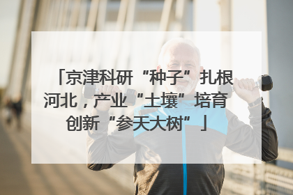 京津科研“种子”扎根河北，产业“土壤”培育创新“参天大树”