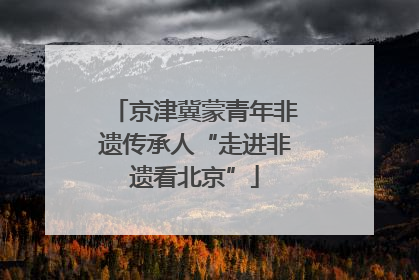 京津冀蒙青年非遗传承人“走进非遗看北京”