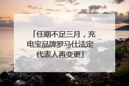 任期不足三月，充电宝品牌罗马仕法定代表人再变更