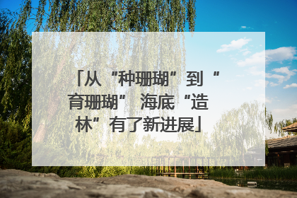 从“种珊瑚”到“育珊瑚” 海底“造林”有了新进展