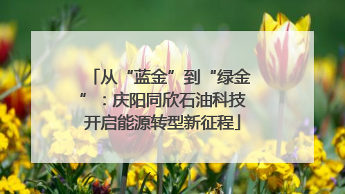 从“蓝金”到“绿金”：庆阳同欣石油科技开启能源转型新征程