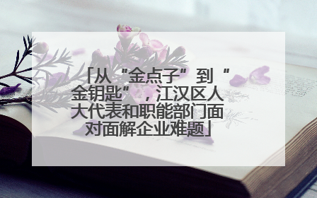 从“金点子”到“金钥匙”，江汉区人大代表和职能部门面对面解企业难题