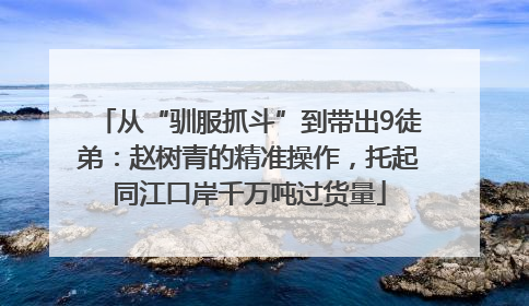 从“驯服抓斗”到带出9徒弟：赵树青的精准操作，托起同江口岸千万吨过货量