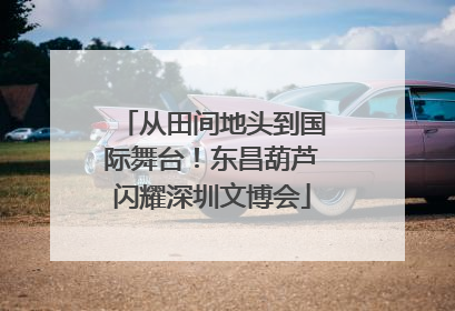 从田间地头到国际舞台！东昌葫芦闪耀深圳文博会