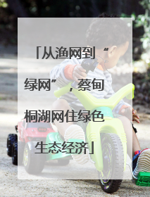 从渔网到“绿网”，蔡甸桐湖网住绿色生态经济